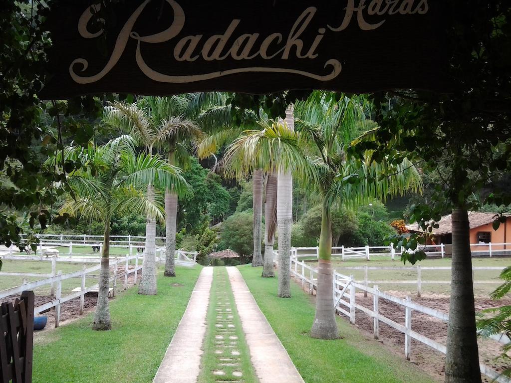 HARAS RADACHI PETRÓPOLIS